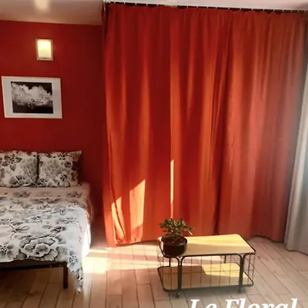 Les Belles Terrasses Dieppe: Tranquil With Avenue Views * 디에프