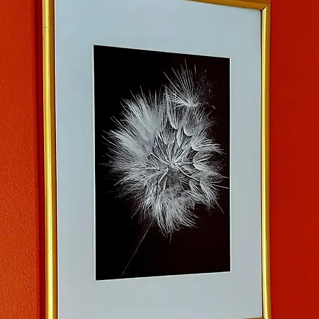 Les Belles Terrasses Dieppe: Tranquil With Avenue Views 아파트 디에프