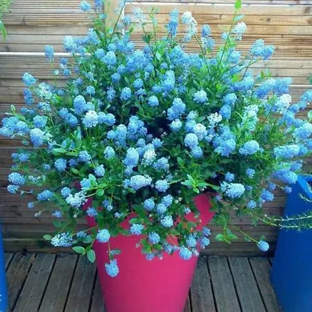 Les Belles Terrasses Dieppe: Tranquil With Avenue Views 아파트