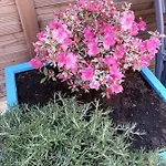 Les Belles Terrasses ,3 , Le Vegetal De 1 A 8 Personnes , Le Tropical De 1 A 6 Personnes , Le Floral Avec Terrasse De 1 A 3 Personnes , Quartier Calme Au Stationnement Gratuit A Cote De L'avenue Verte *