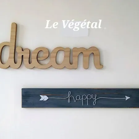 Les Belles Terrasses ,3 , Le Vegetal De 1 A 8 Personnes , Le Tropical De 1 A 6 Personnes , Le Floral Avec Terrasse De 1 A 3 Personnes , Quartier Calme Au Stationnement Gratuit A Cote De L'avenue Verte Apartment