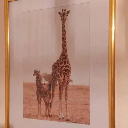 Apartmán Les Belles Terrasses ,3 , Le Vegetal De 1 A 8 Personnes , Le Tropical De 1 A 6 Personnes , Le Floral Avec Terrasse De 1 A 3 Personnes , Quartier Calme Au Stationnement Gratuit A Cote De L'avenue Verte *