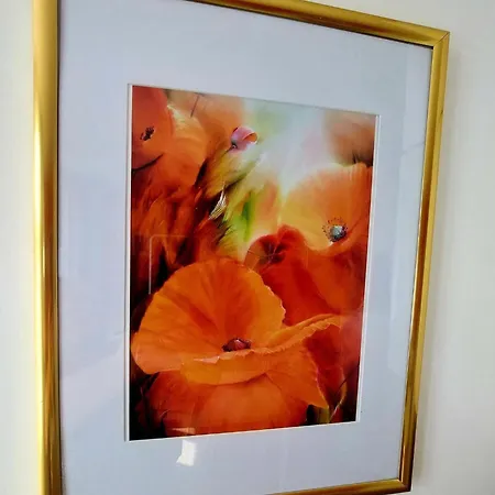 Les Belles Terrasses ,3 , Le Vegetal De 1 A 8 Personnes , Le Tropical De 1 A 6 Personnes , Le Floral Avec Terrasse De 1 A 3 Personnes , Quartier Calme Au Stationnement Gratuit A Cote De L'avenue Verte شقة