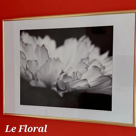 Les Belles Terrasses ,3 , Le Vegetal De 1 A 8 Personnes , Le Tropical De 1 A 6 Personnes , Le Floral Avec Terrasse De 1 A 3 Personnes , Quartier Calme Au Stationnement Gratuit A Cote De L'avenue Verte *