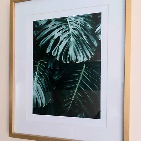 Les Belles Terrasses ,3 , Le Vegetal De 1 A 8 Personnes , Le Tropical De 1 A 6 Personnes , Le Floral Avec Terrasse De 1 A 3 Personnes , Quartier Calme Au Stationnement Gratuit A Cote De L'avenue Verte شقة