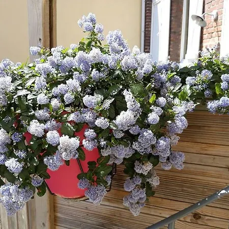 Les Belles Terrasses ,3 , Le Vegetal De 1 A 8 Personnes , Le Tropical De 1 A 6 Personnes , Le Floral Avec Terrasse De 1 A 3 Personnes , Quartier Calme Au Stationnement Gratuit A Cote De L'avenue Verte * Dieppe