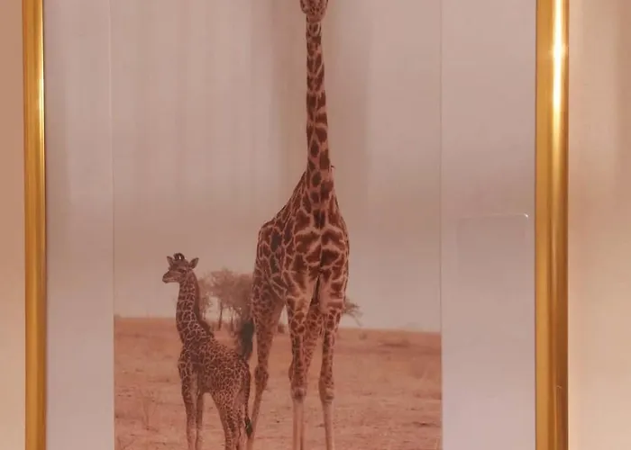 Appartement Les Belles Terrasses ,3 , Le Vegetal De 1 à 8 Personnes , Le Tropical De 1 à 6 Personnes , Le Floral Avec Terrasse De 1 à 3 Personnes , Quartier Calme Au Stationnement Gratuit à Coté De L'avenue Verte *