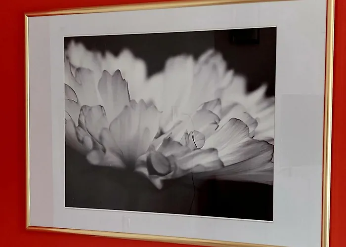 Les Belles Terrasses ,3 , Le Vegetal De 1 à 8 Personnes , Le Tropical De 1 à 6 Personnes , Le Floral Avec Terrasse De 1 à 3 Personnes , Quartier Calme Au Stationnement Gratuit à Coté De L'avenue Verte *