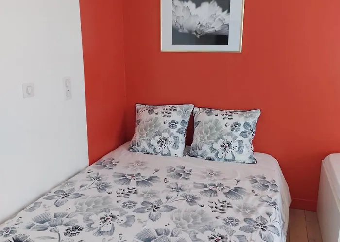 Les Belles Terrasses ,3 , Le Vegetal De 1 A 8 Personnes , Le Tropical De 1 A 6 Personnes , Le Floral Avec Terrasse De 1 A 3 Personnes , Quartier Calme Au Stationnement Gratuit A Cote De L'avenue Verte Apartman *