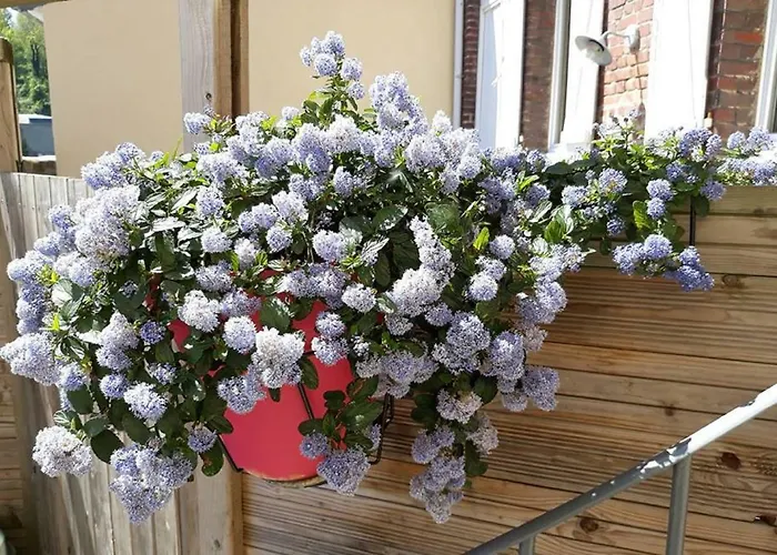 Les Belles Terrasses ,3 , Le Vegetal De 1 à 8 Personnes , Le Tropical De 1 à 6 Personnes , Le Floral Avec Terrasse De 1 à 3 Personnes , Quartier Calme Au Stationnement Gratuit à Coté De L'avenue Verte * Dieppe